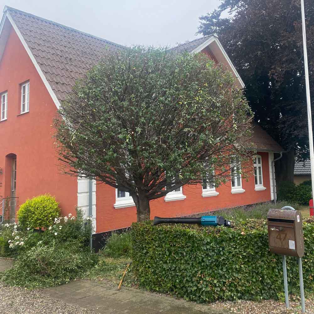 dyrlaegen-efter