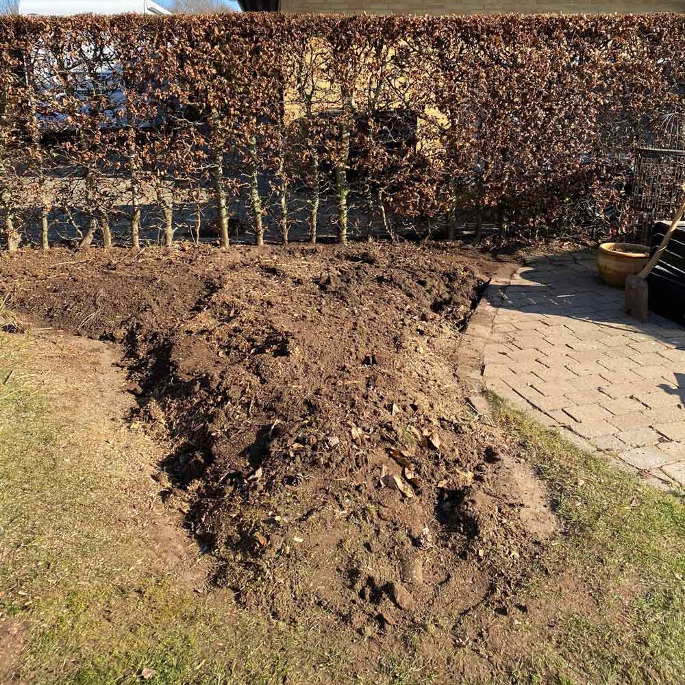 piletraes-bed-efter